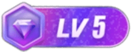 等级-LV5-摇钱述网创