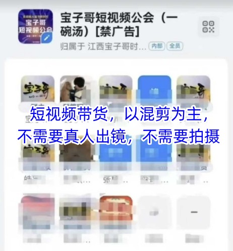宝子哥头部团队短视频带货，以混剪为主，不需要真人出镜，不需要拍摄【更新9月】-摇钱述