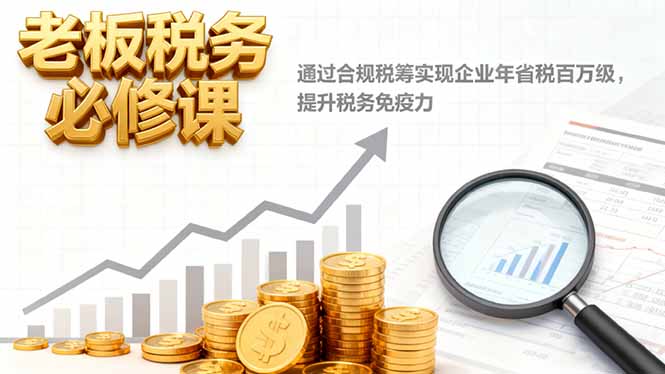 老板税务必修课，通过合规税筹实现企业年省税百万级，提升税务免疫力-摇钱述