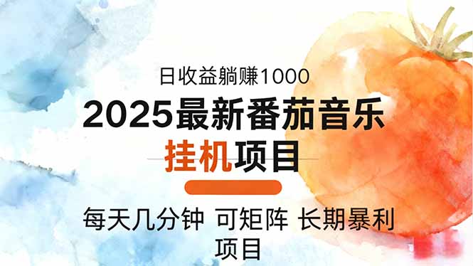 2025年最新番茄音乐人挂机项目，每天几分钟，月入1000＋，可矩阵，一台...-摇钱述