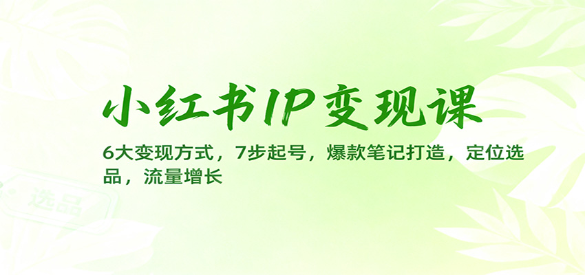 小红书IP变现课：6大变现方式，7步起号，爆款笔记打造，定位选品，流量增长-摇钱述