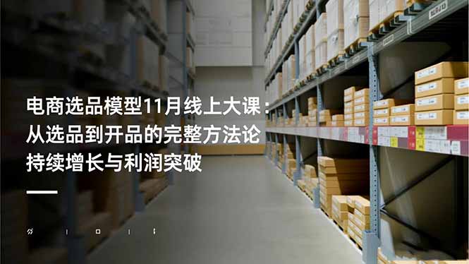 电商选品模型11月线上大课：从选品到开品的完整方法论 持续增长与利润突破-摇钱述